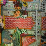 Vraj-Yatra-2014- (523)